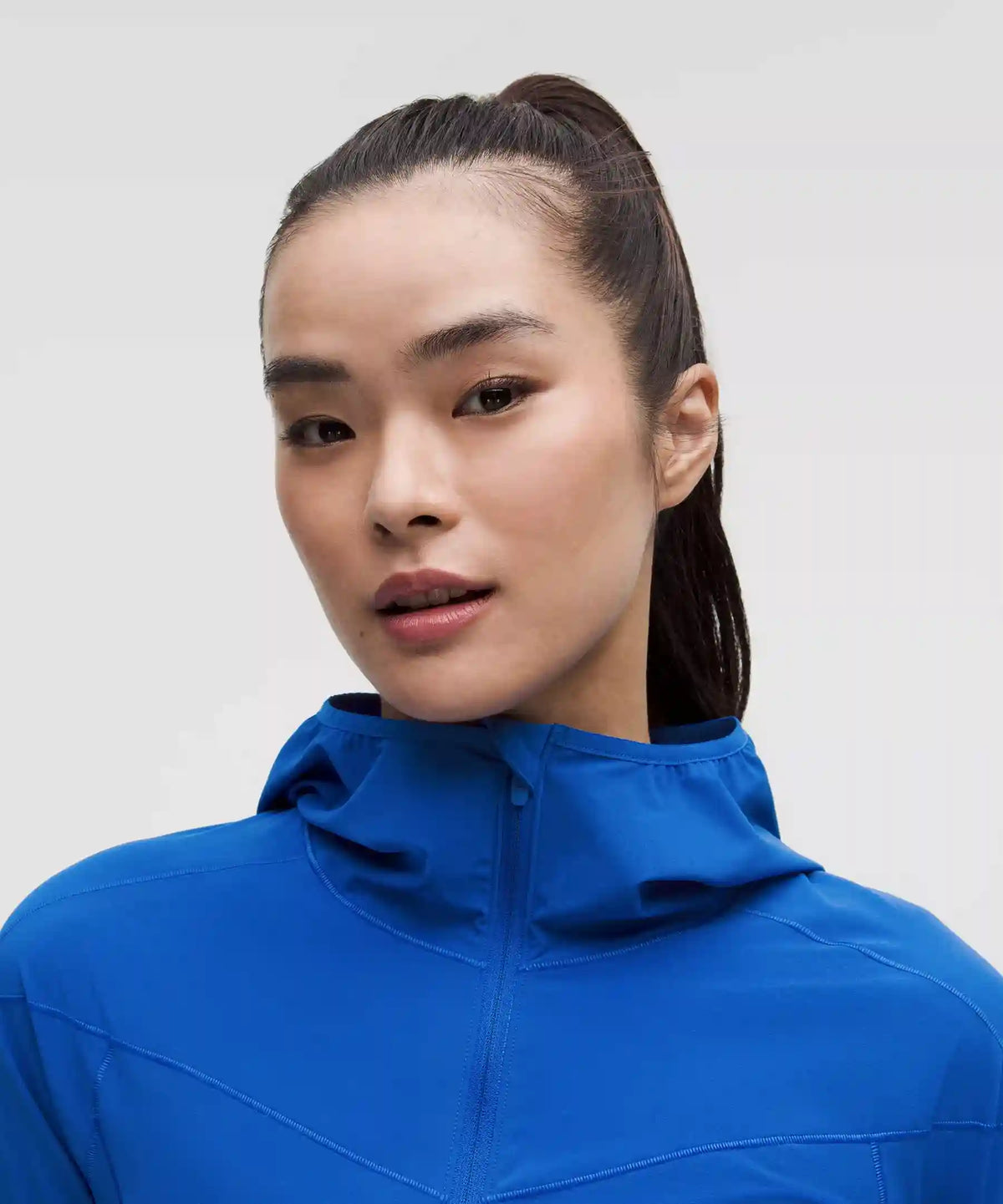 Mist Over Windbreaker