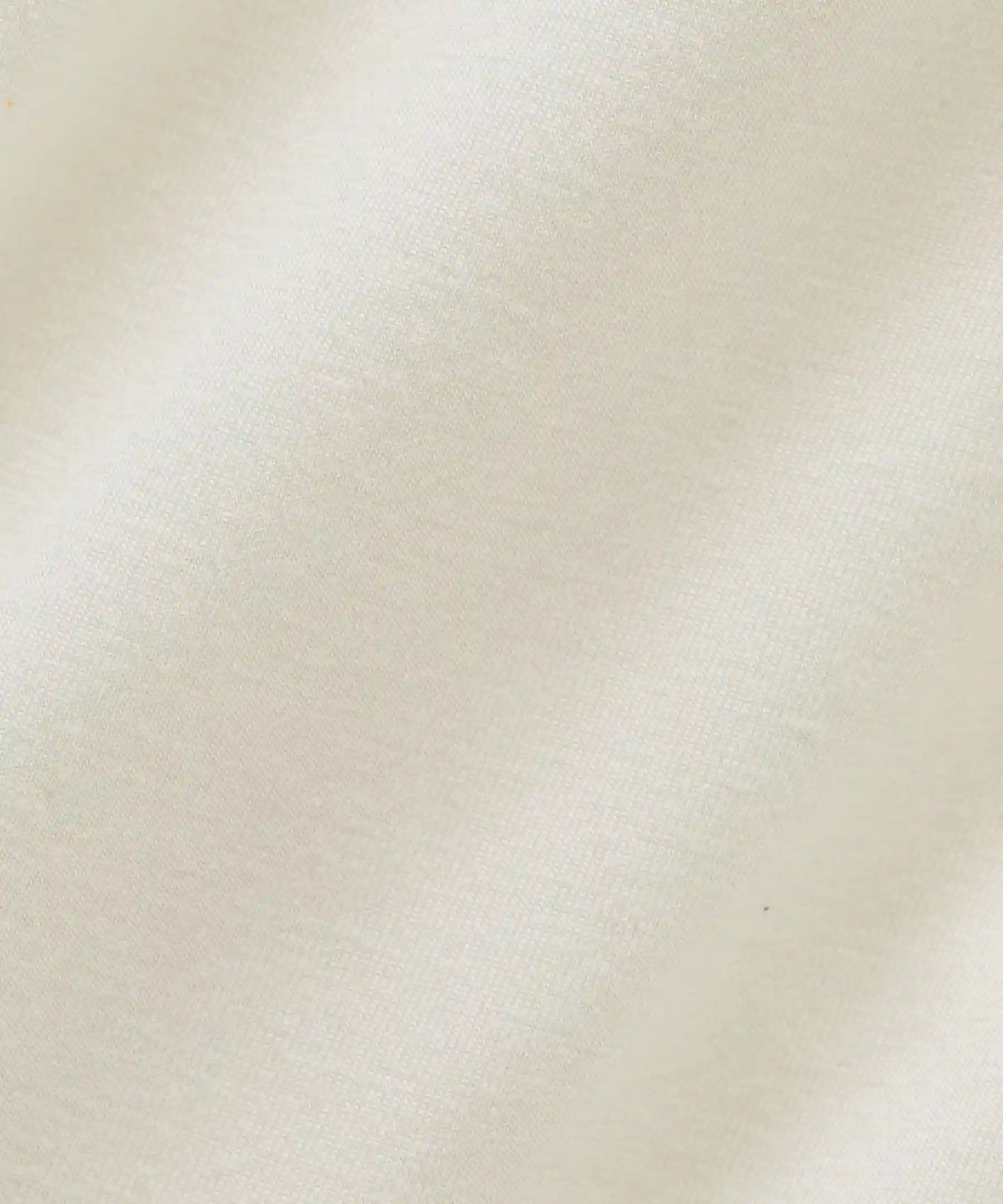 Always In Motion Brief