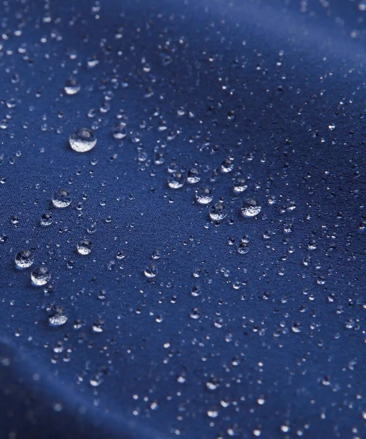 Mist Over Windbreaker